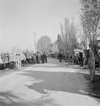 Marcel Maget photographie MNATP. Mission de Marcel Maget et André Varagnac en Provence (novembre 1938) Provence-Alpes-Côte d'Azur, France 1938/11/16 Ph.1939.1.110 Photo