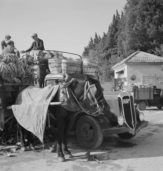 Marcel Maget photographie MNATP. Mission de Marcel Maget et André Varagnac en Provence (novembre 1938) Provence-Alpes-Côte d'Azur, France 1938/11/16 Ph.1939.1.114 Photo