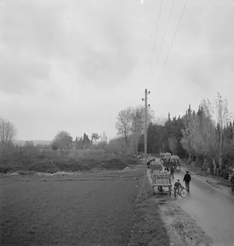 Marcel Maget photographie MNATP. Mission de Marcel Maget et André Varagnac en Provence (novembre 1938) Provence-Alpes-Côte d'Azur, France 1938/11/16 Ph.1939.1.152 Photo