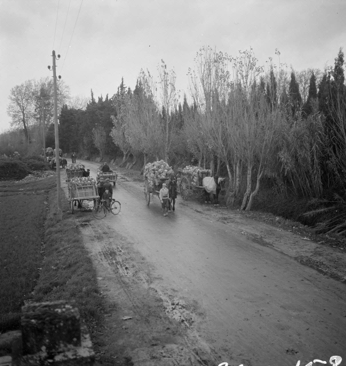 Marcel Maget photographie MNATP. Mission de Marcel Maget et André Varagnac en Provence (novembre 1938) Provence-Alpes-Côte d'Azur, France 1938/11/16 Ph.1939.1.153 Photo