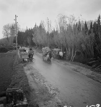 Marcel Maget photographie MNATP. Mission de Marcel Maget et André Varagnac en Provence (novembre 1938) Provence-Alpes-Côte d'Azur, France 1938/11/16 Ph.1939.1.153 Photo
