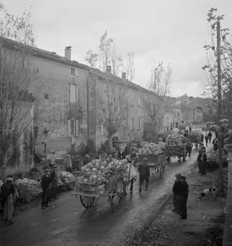 Marcel Maget photographie MNATP. Mission de Marcel Maget et André Varagnac en Provence (novembre 1938) Provence-Alpes-Côte d'Azur, France 1938/11/16 Ph.1939.1.154 Photo