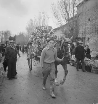 Marcel Maget photographie MNATP. Mission de Marcel Maget et André Varagnac en Provence (novembre 1938) Provence-Alpes-Côte d'Azur, France 1938/11/16 Ph.1939.1.155 Photo