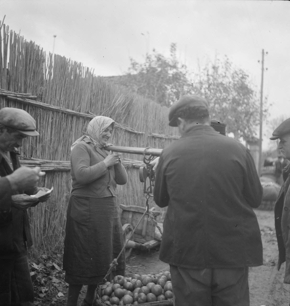 Marcel Maget photographie MNATP. Mission de Marcel Maget et André Varagnac en Provence (novembre 1938) Provence-Alpes-Côte d'Azur, France 1938/11/16 Ph.1939.1.159 Photo