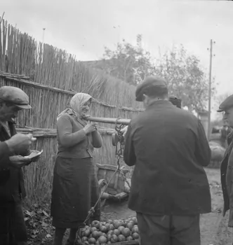 Marcel Maget photographie MNATP. Mission de Marcel Maget et André Varagnac en Provence (novembre 1938) Provence-Alpes-Côte d'Azur, France 1938/11/16 Ph.1939.1.159 Photo