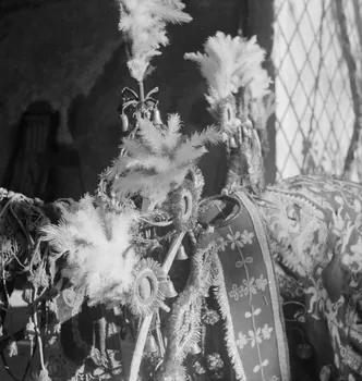 Marcel Maget photographie MNATP. Mission de Marcel Maget et André Varagnac en Provence (novembre 1938) Provence-Alpes-Côte d'Azur, France 1938/11/16 Ph.1939.1.215 Photo Mucem / Marcel Maget