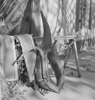 Marcel Maget photographie MNATP. Mission de Marcel Maget et André Varagnac en Provence (novembre 1938) Provence-Alpes-Côte d'Azur, France 1938/11/16 Ph.1939.1.223 Photo Mucem / Marcel Maget