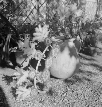Marcel Maget photographie MNATP. Mission de Marcel Maget et André Varagnac en Provence (novembre 1938) Provence-Alpes-Côte d'Azur, France 1938/11/16 Ph.1939.1.227 Photo Mucem / Marcel Maget