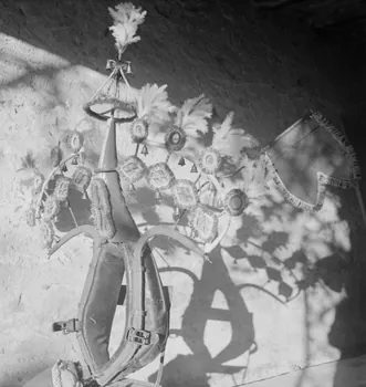 Marcel Maget photographie MNATP. Mission de Marcel Maget et André Varagnac en Provence (novembre 1938) Provence-Alpes-Côte d'Azur, France 1938/11/16 Ph.1939.1.233 Photo Mucem / Marcel Maget