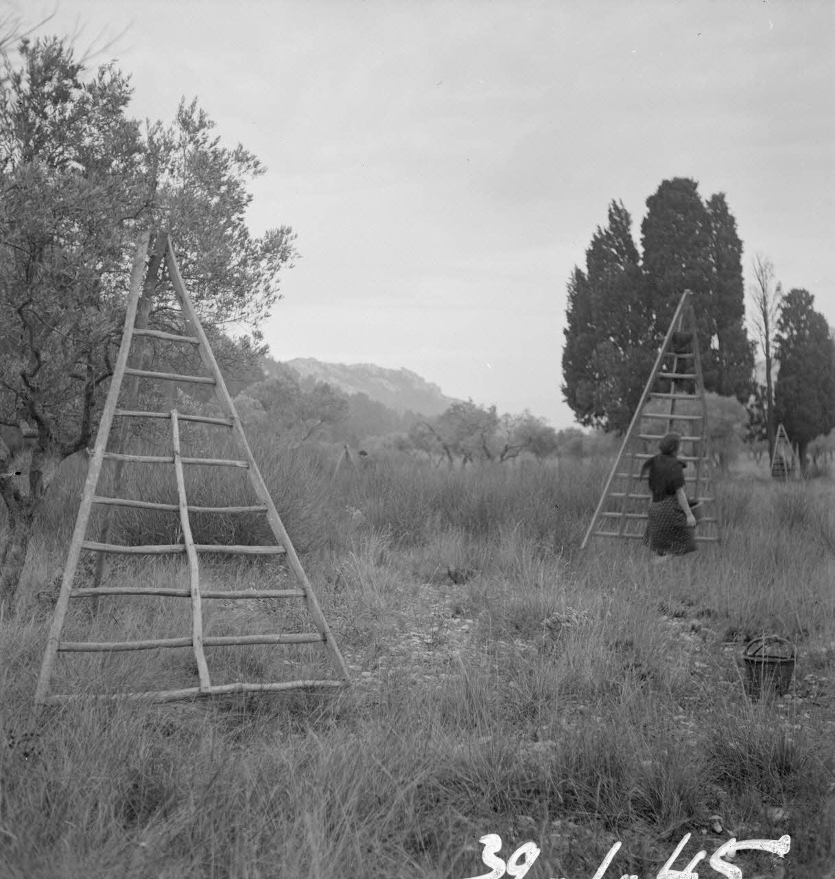 Marcel Maget photographie MNATP. Mission de Marcel Maget et André Varagnac en Provence (novembre 1938) Provence-Alpes-Côte d'Azur, France 1938/11/14 Ph.1939.1.45 Photo