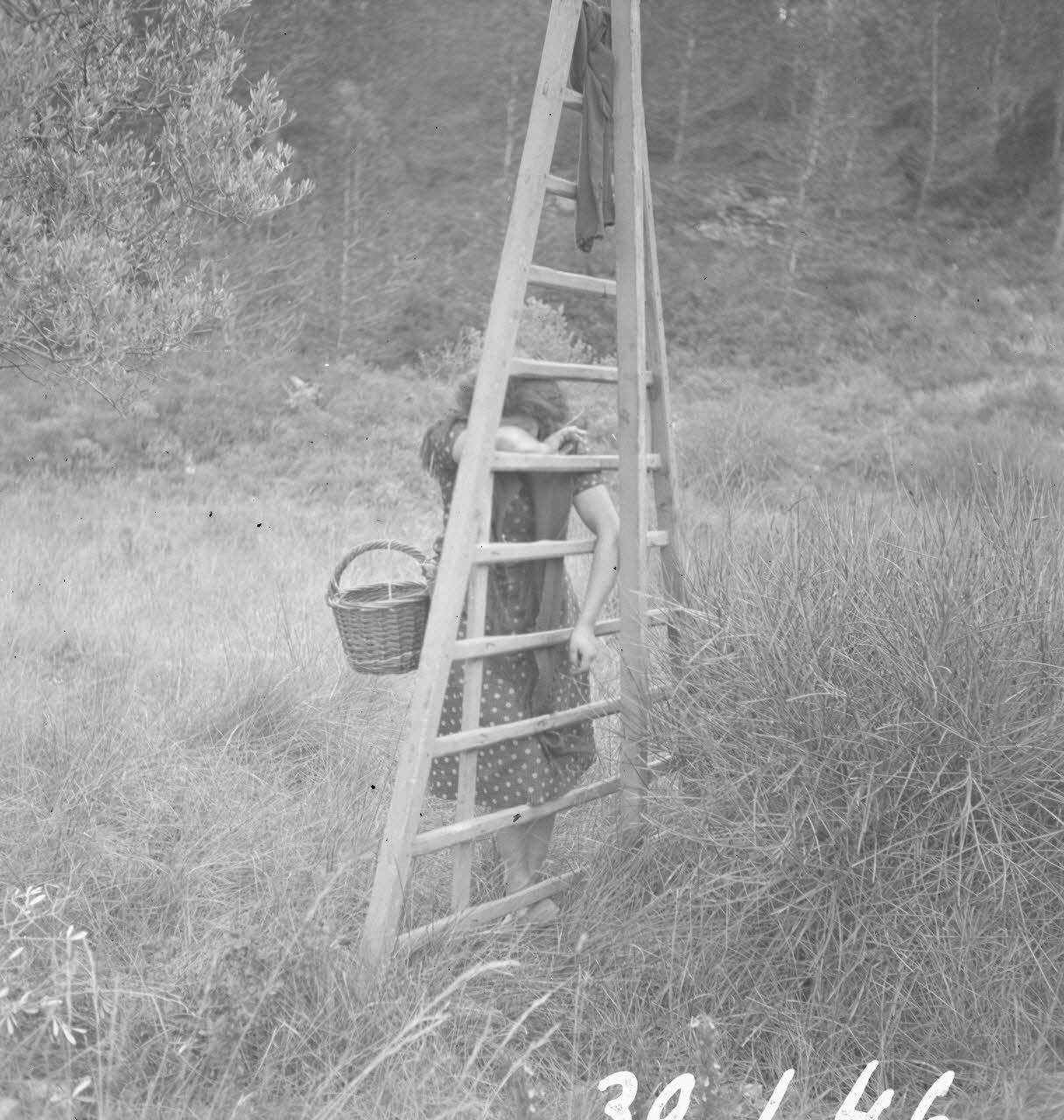 Marcel Maget photographie MNATP. Mission de Marcel Maget et André Varagnac en Provence (novembre 1938) Provence-Alpes-Côte d'Azur, France 1938/11/14 Ph.1939.1.46 Photo