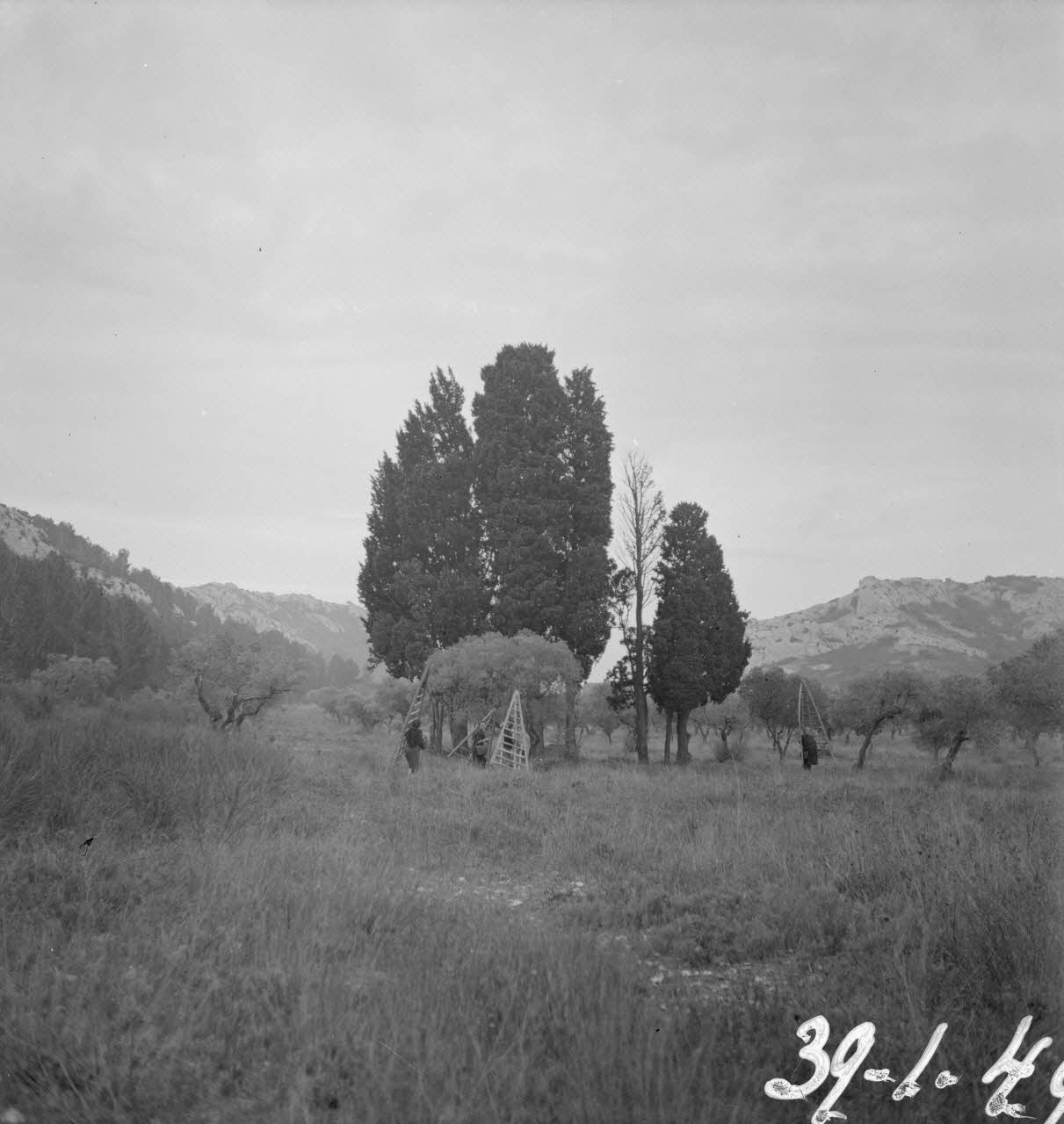 Marcel Maget photographie MNATP. Mission de Marcel Maget et André Varagnac en Provence (novembre 1938) Provence-Alpes-Côte d'Azur, France 1938/11/14 Ph.1939.1.49 Photo