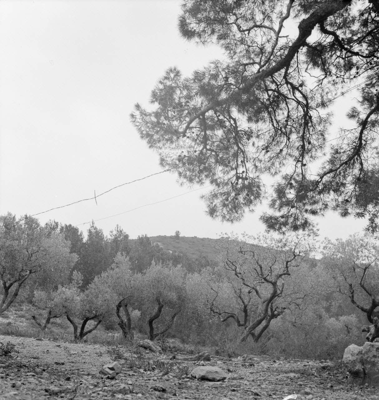 Marcel Maget photographie MNATP. Mission de Marcel Maget et André Varagnac en Provence (novembre 1938) Provence-Alpes-Côte d'Azur, France 1938/11/14 Ph.1939.1.60 Photo