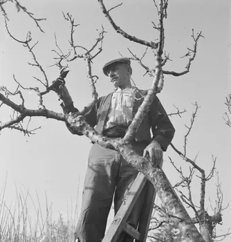 Marcel Maget photographie MNATP. Mission de Marcel Maget et André Varagnac en Provence (novembre 1938) Provence-Alpes-Côte d'Azur, France 1938/11/16 Ph.1939.1.70  Photo