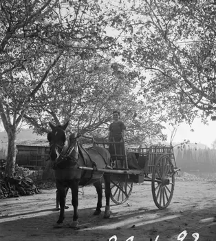 Marcel Maget photographie MNATP. Mission de Marcel Maget et André Varagnac en Provence (novembre 1938) Provence-Alpes-Côte d'Azur, France 1938/11/16 Ph.1939.1.93 Photo