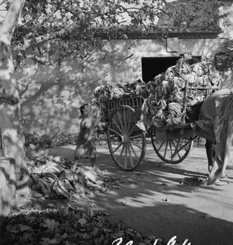 Marcel Maget photographie MNATP. Mission de Marcel Maget et André Varagnac en Provence (novembre 1938) Provence-Alpes-Côte d'Azur, France 1938/11/16 Ph.1939.1.94 Photo