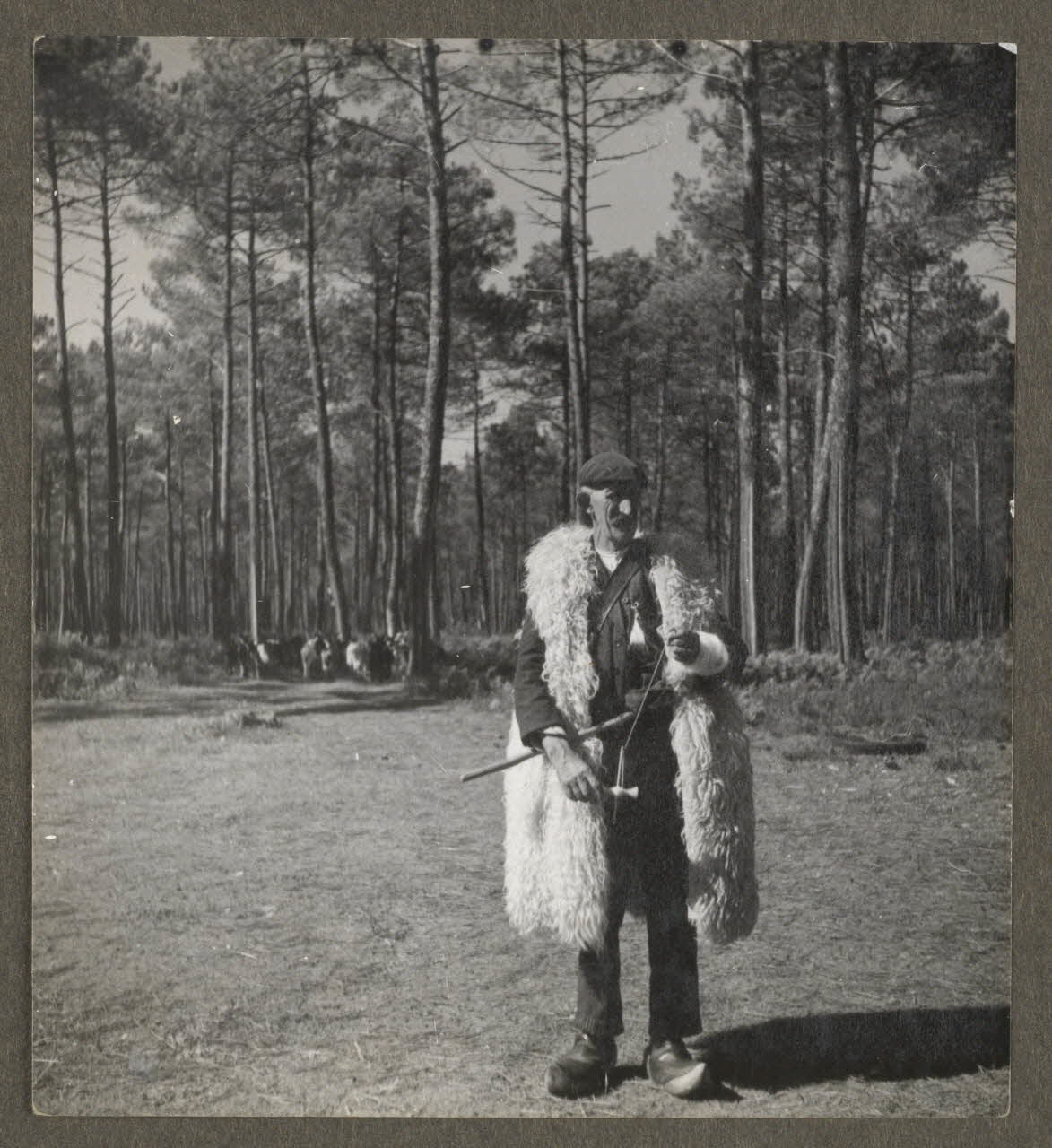 Pierre Toulgouat photographie Pierre Toulgouat (1901-1992) : les Landes (1939-1982) Aquitaine, France 1939 Ph.1939.13.9 Photo