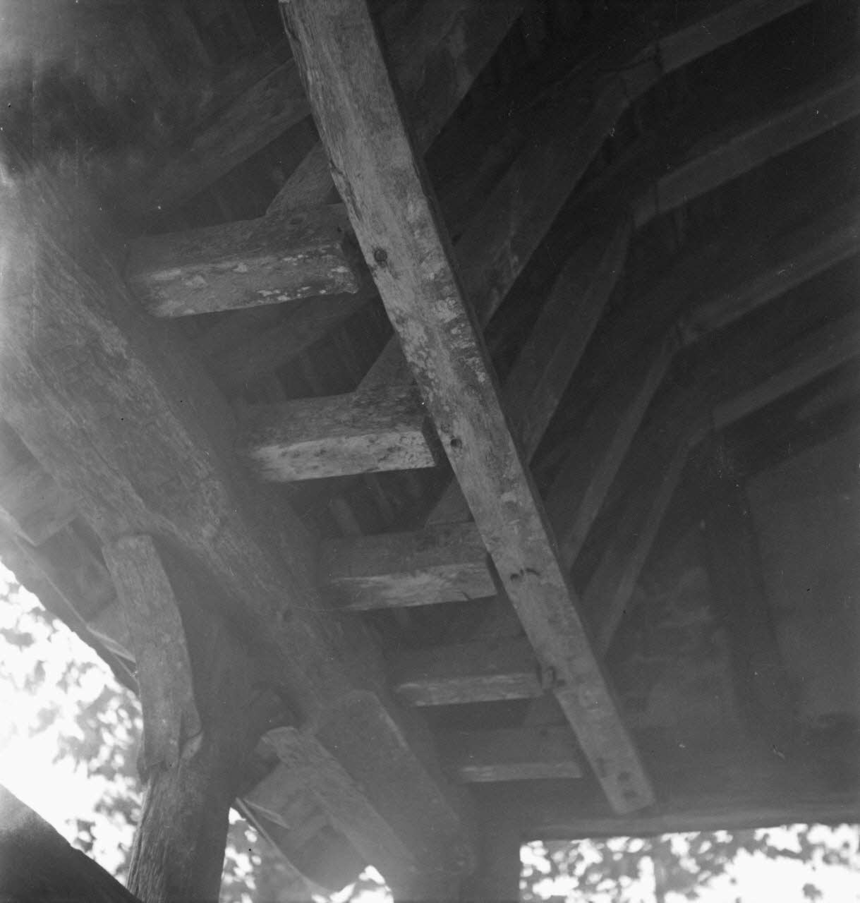Pierre - Louis Duchartre photographie MNATP. Enquête sur la Sologne Centre, France 1937/10/29 Ph.1939.9.17 Photo