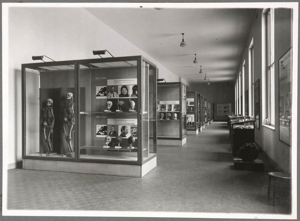 photographie Paris : Musée de l'Homme Ph.1940.105.15 Photo