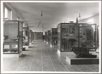photographie Paris : Musée de l'Homme Ph.1940.105.9 Photo