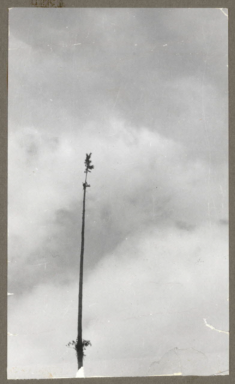 Henri Monnet photographie Mai. Faît Bourgogne, France 1939/6/28 Ph.1940.19.33 Photo