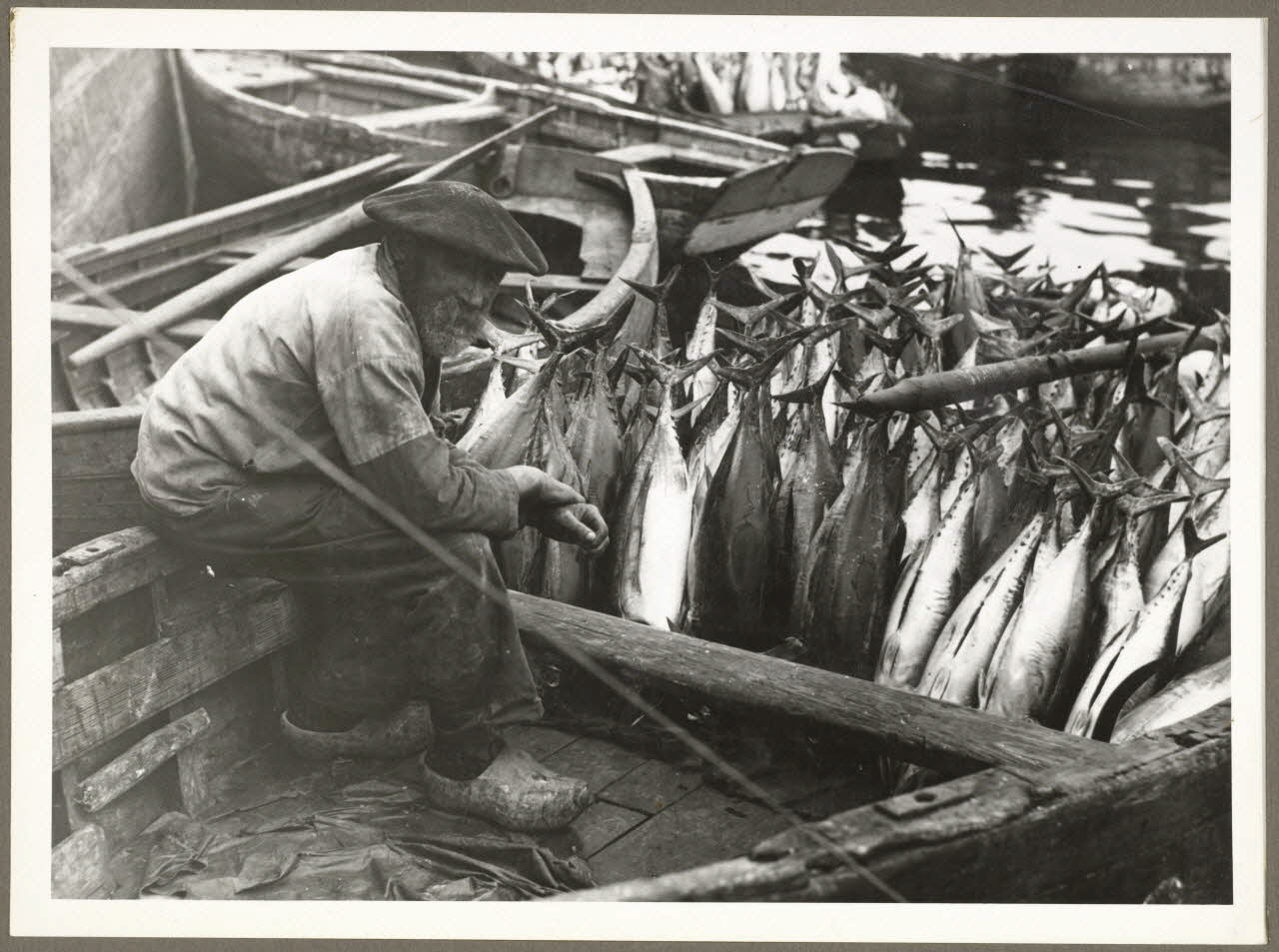 Anonyme photographie Pêcheur. Thon Bretagne, France 1940 Ph.1940.20.16 Photo
