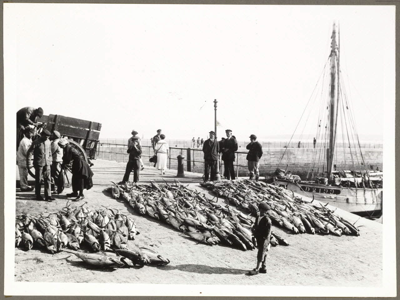 Anonyme photographie Débarquement des thons Bretagne, France 1940 Ph.1940.20.17 Photo