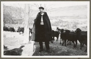 Denise Sussfeld photographie Berger et son troupeau Provence-Alpes-Côte d'Azur, France 1940 Ph.1940.22.2 Photo