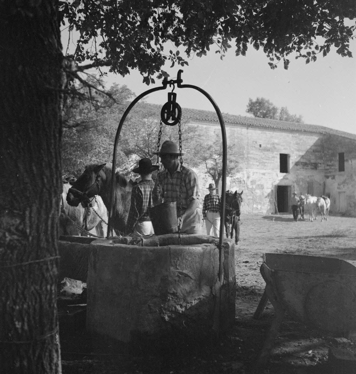 Maurice Cloche photographie Camargue. Gardians. Puits Provence-Alpes-Côte d'Azur, France 1941 Ph.1941.124.208 Photo