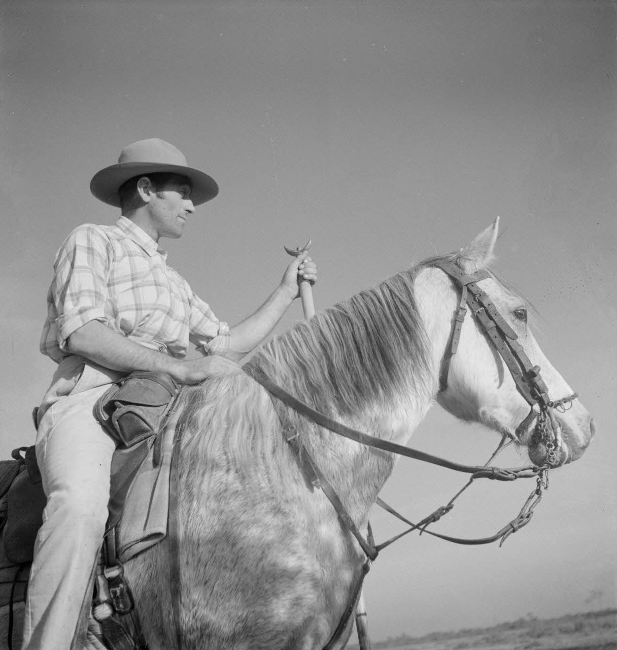 Maurice Cloche photographie Camargue. Gardian Provence-Alpes-Côte d'Azur, France 1941 Ph.1941.124.214 Photo