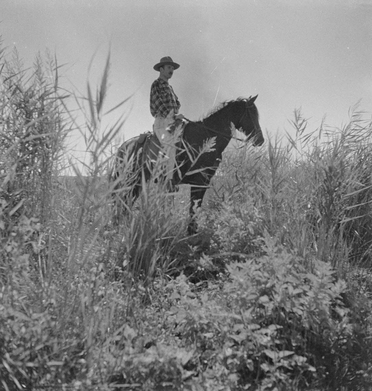 Maurice Cloche photographie Camargue. Gardian à cheval Provence-Alpes-Côte d'Azur, France 1941 Ph.1941.124.216 Photo