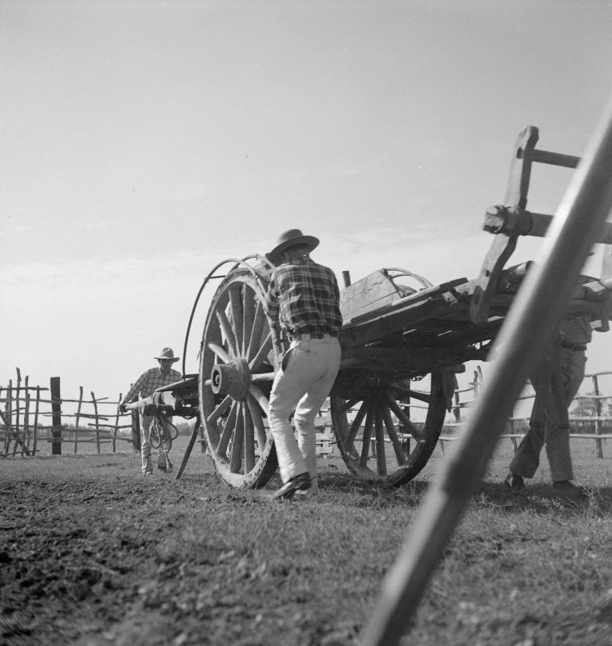 Maurice Cloche photographie Camargue. Gardian et charrette Provence-Alpes-Côte d'Azur, France 1941 Ph.1941.124.218 Photo