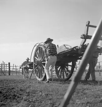 Maurice Cloche photographie Camargue. Gardian et charrette Provence-Alpes-Côte d'Azur, France 1941 Ph.1941.124.218  Photo