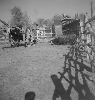 Maurice Cloche photographie Camargue. Gardian et charrette Provence-Alpes-Côte d'Azur, France 1941 Ph.1941.124.219  Photo