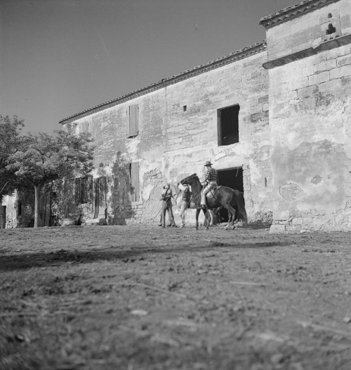 Maurice Cloche photographie Camargue. Gardian à cheval Provence-Alpes-Côte d'Azur, France 1941 Ph.1941.124.220 Photo