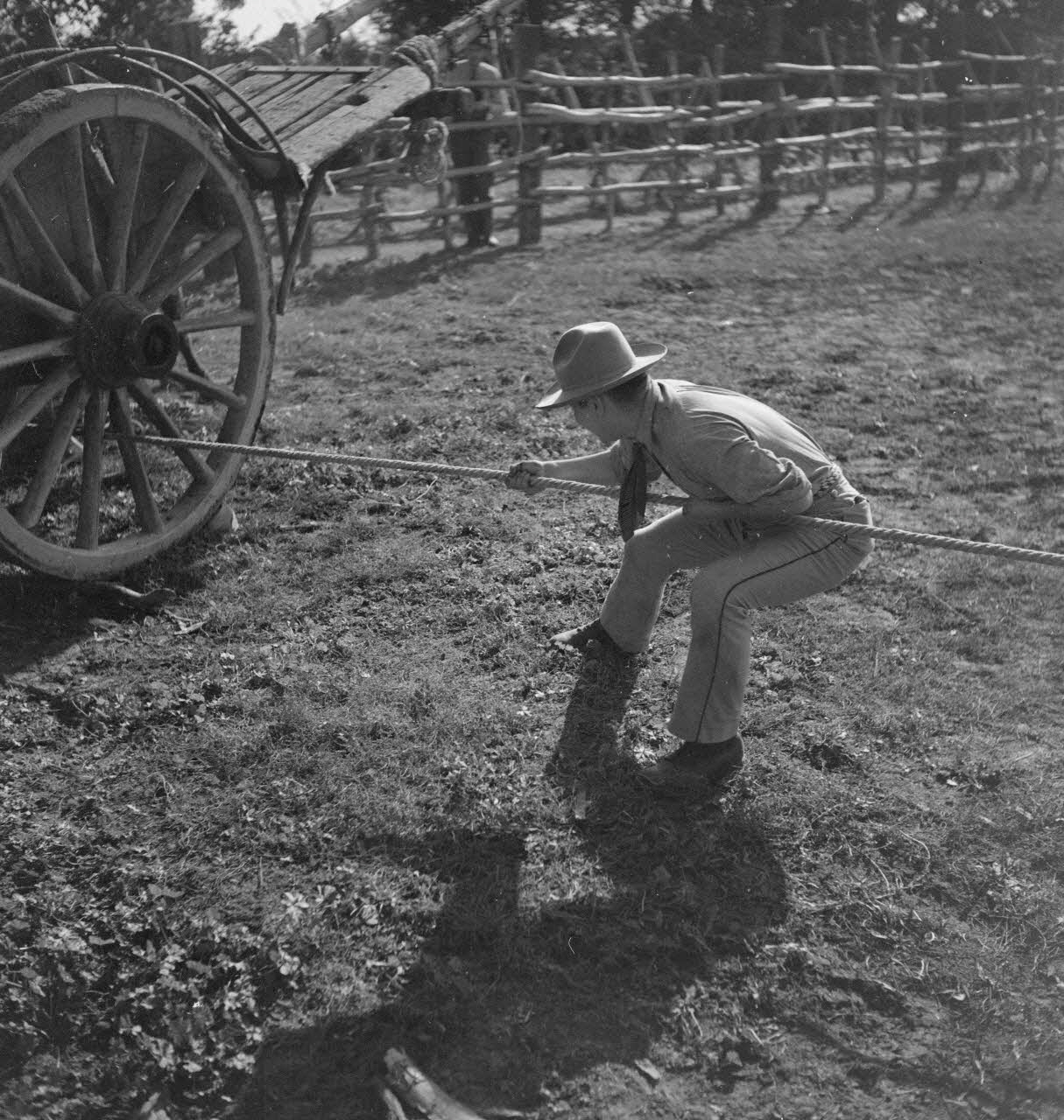 Maurice Cloche photographie Camargue. Gardian Provence-Alpes-Côte d'Azur, France 1941 Ph.1941.124.222 Photo