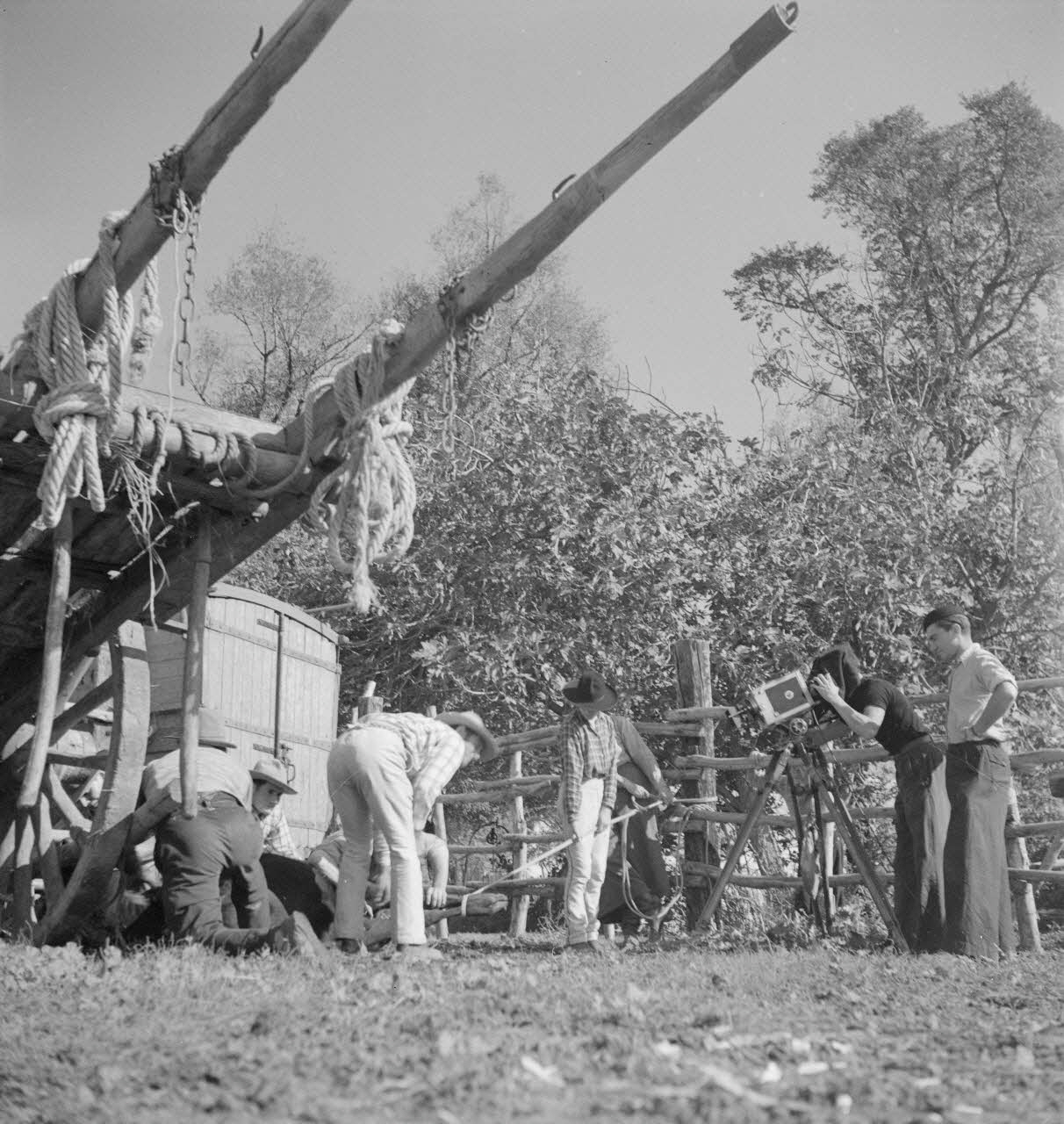 Maurice Cloche photographie Camargue. Ferrade Provence-Alpes-Côte d'Azur, France 1941 Ph.1941.124.223 Photo