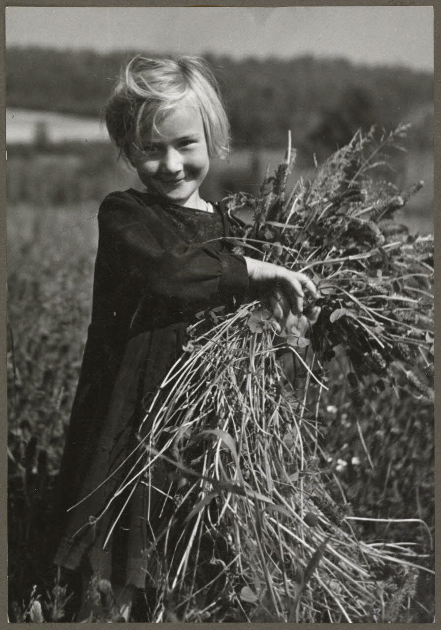 Ergy Landau photographie Petite fille avec une brassée de foin Haute-Normandie, France 1941 Ph.1941.129.12 Photo