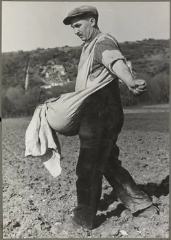 Nora Dumas photographie Semailles Ile-de-France, France 1937 Ph.1941.129.42  Photo