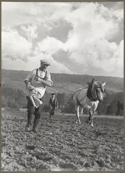 Nora Dumas photographie Semailles Ile-de-France, France 1939 Ph.1941.129.43  Photo