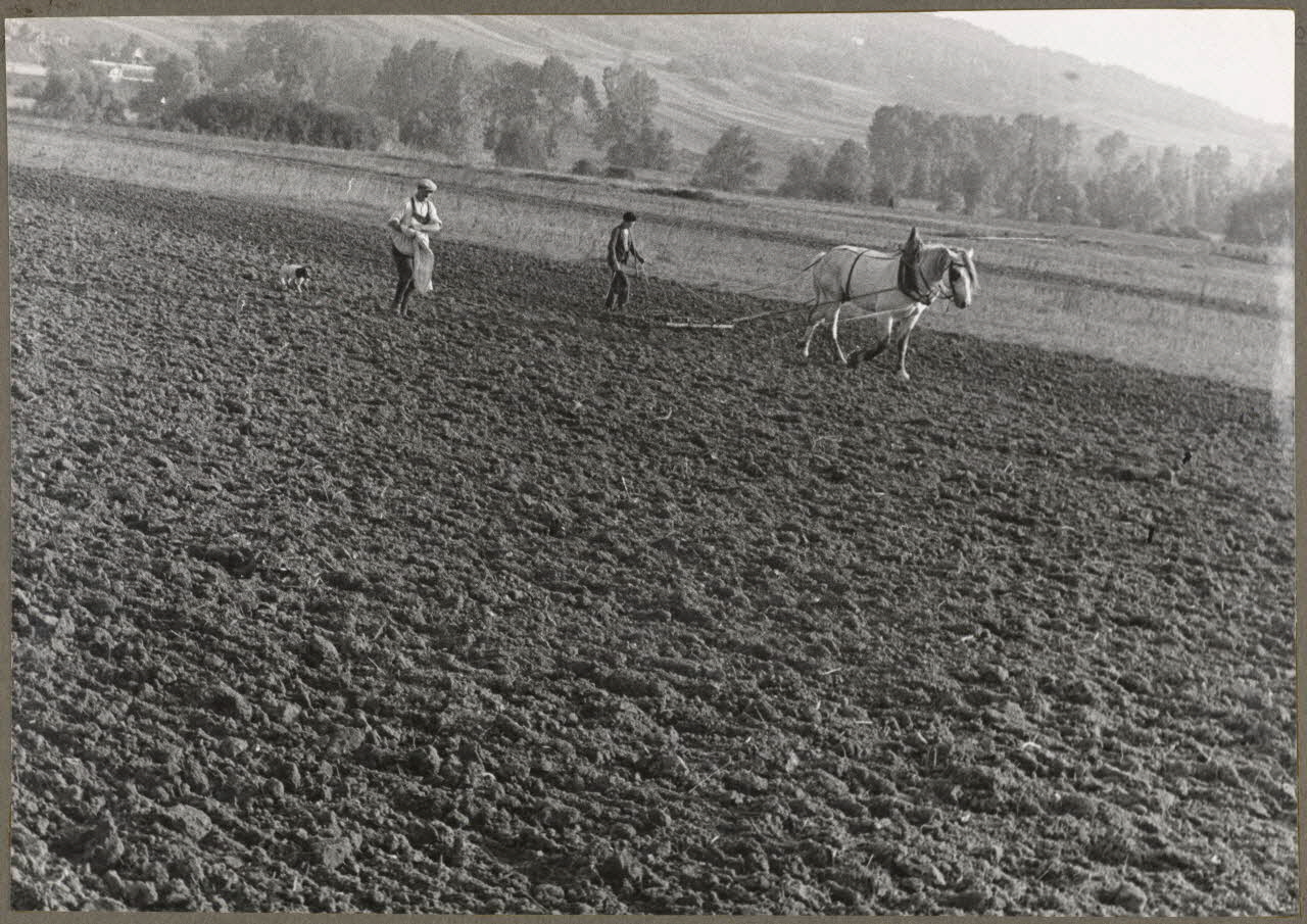 Nora Dumas photographie Semailles Ile-de-France, France 1939 Ph.1941.129.44  Photo