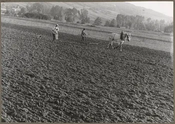 Nora Dumas photographie Semailles Ile-de-France, France 1939 Ph.1941.129.44  Photo