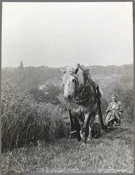 Nora Dumas photographie Faucheuse-lieuse Ile-de-France, France 1927 Ph.1941.129.46  Photo