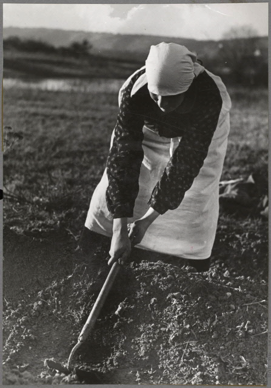 Nora Dumas photographie Arrachage des pommes de terre Ile-de-France, France 1937 Ph.1941.129.48  Photo
