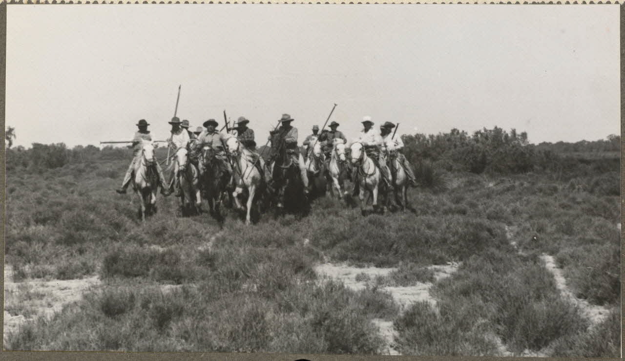 M. Poirion photographie la Camargue. Gardians se disposant à cerner le taureau Provence-Alpes-Côte d'Azur, France 1941 Ph.1941.25.9 Photo