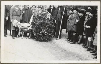 Boyer photographie La charrette de l'agneau de Noël Provence-Alpes-Côte d'Azur, France 1941 Ph.1941.38.16  Photo