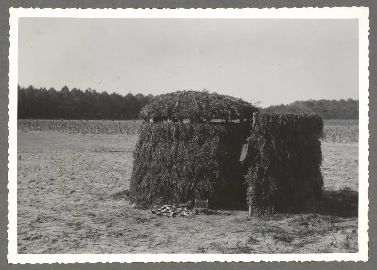Emile Vignes photographie Chasse au filet (oiseaux) Aquitaine, France 1941 Ph.1941.58.19 Photo