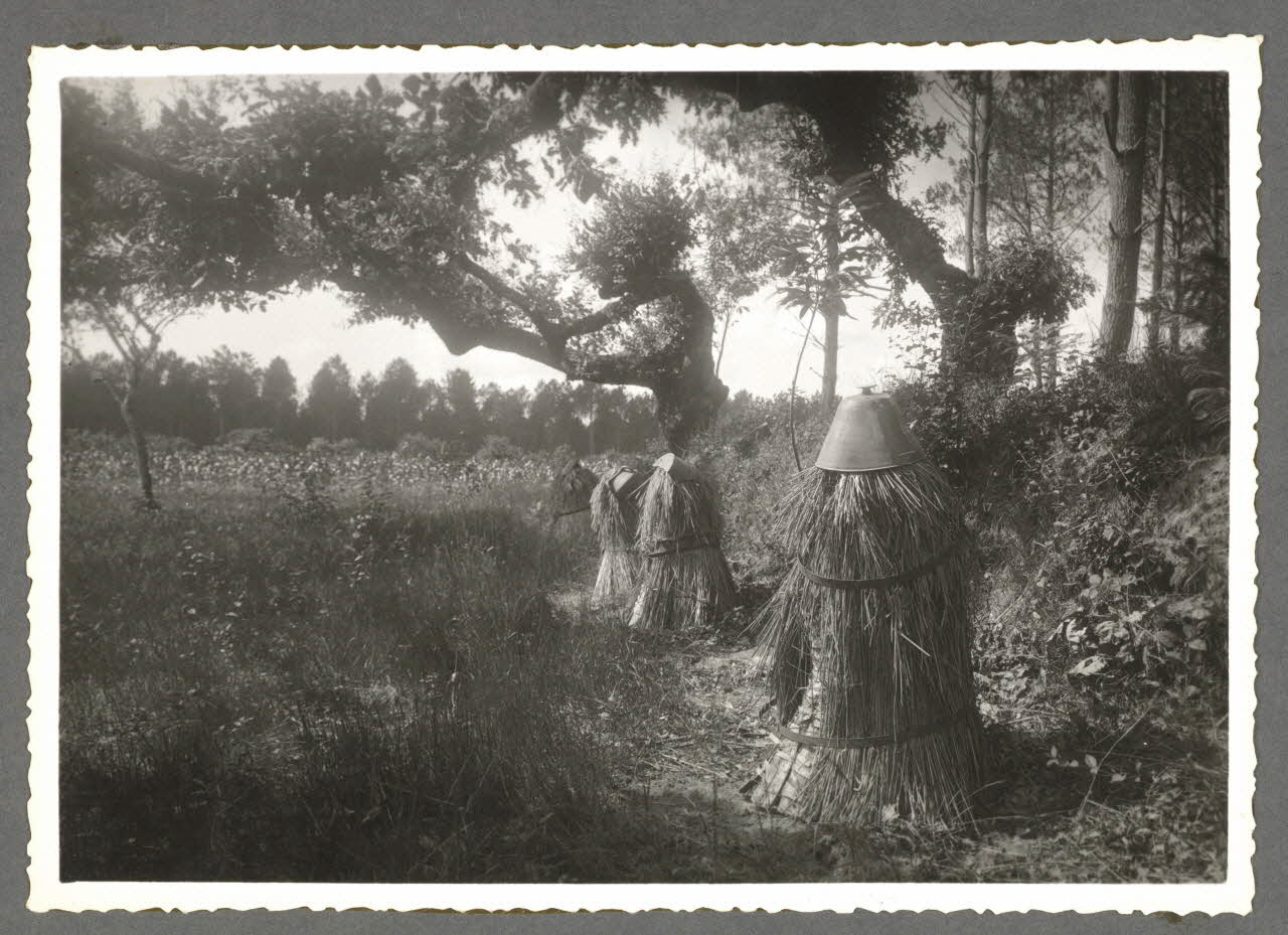 Emile Vignes photographie Bûchers en paille Aquitaine, France 1941 Ph.1941.58.22 Photo