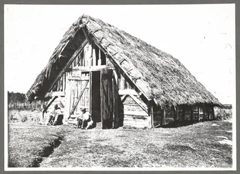 Félix Arnaudin photographie Landes de Gascogne. Parc Aquitaine, France 1937/10/13 Ph.1941.62.2 Photo