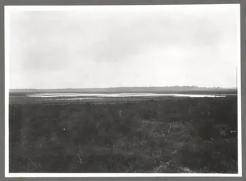 Félix Arnaudin photographie Paysage Aquitaine, France 1937/10/13 Ph.1941.62.6 Photo